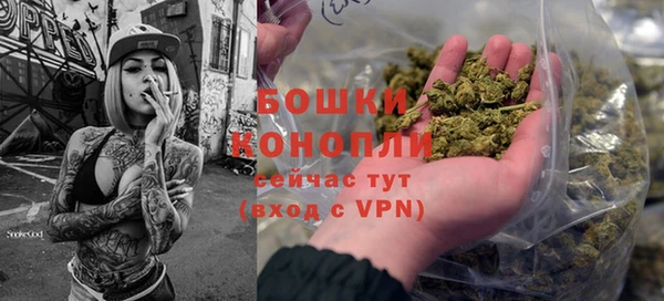 мдпв Волоколамск