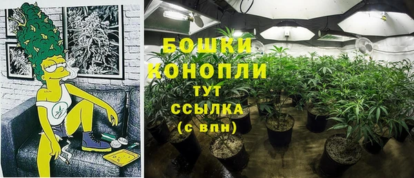 мдпв Волоколамск