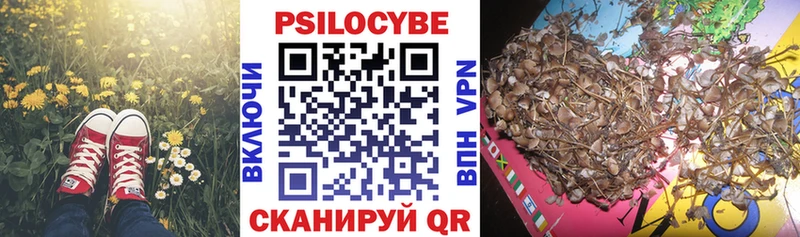 Купить где  Нерехта  Галлюциногенные грибы мухоморы 